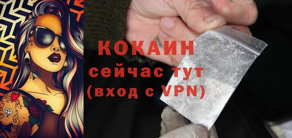 дживик Алзамай