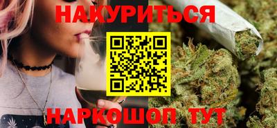 стаф Сланцы