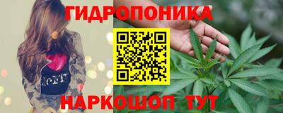 альфа пвп Волгодонск