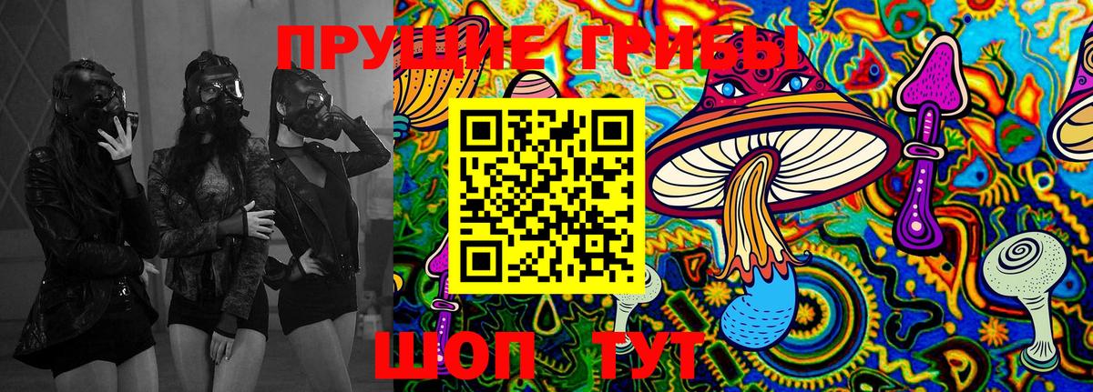 Псилоцибиновые грибы GOLDEN TEACHER Нижний Тагил